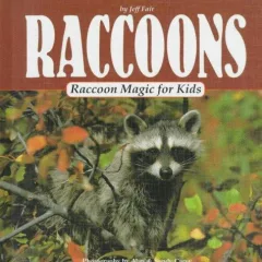 Raccoons