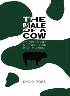 The Male of a Cow