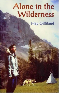 Alone in the wilderness