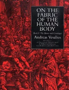 On the fabric of the human body.
