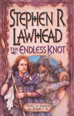 The endless knot