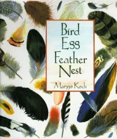 Bird egg feather nest