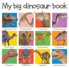 My big dinosaur book.