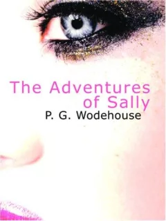 The Adventures of Sally (Large Print Edition)