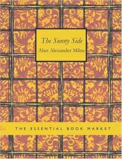 The Sunny Side (Large Print Edition)