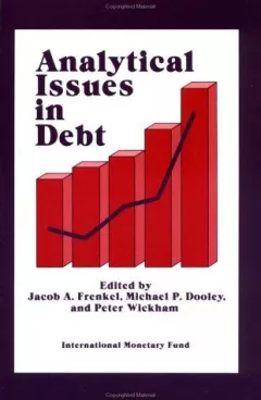 Analytical issues in debt
