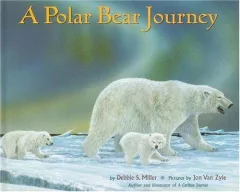 A polar bear journey
