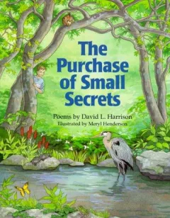 The purchase of small secrets