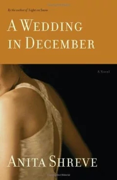 A wedding in December