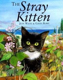 The stray kitten