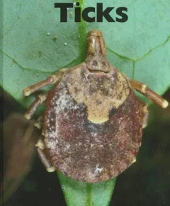 Ticks