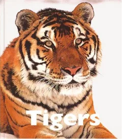 Tigers