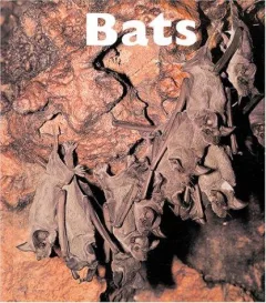 Bats