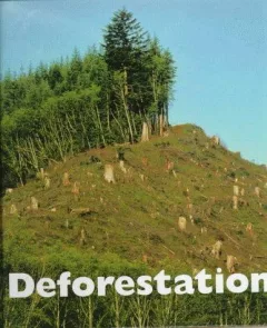 Deforestation