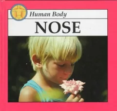Nose