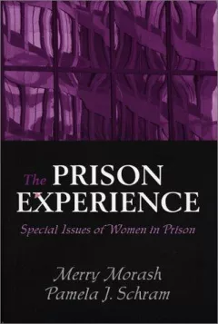 The prison experience