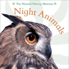 Night animals