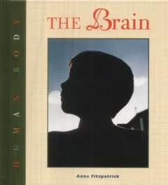 The brain