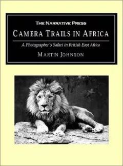 Camera Trails in Africa