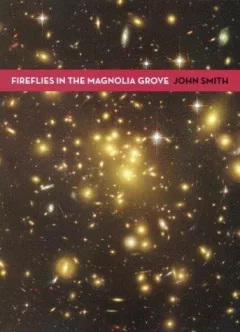 Fireflies in the Magnolia Grove