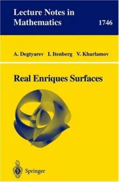 Real Enriques Surfaces (Lecture Notes in Mathematics)