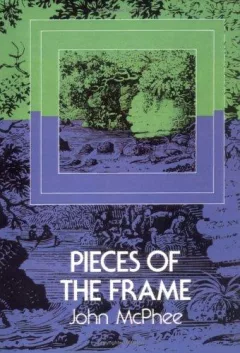 Pieces of the frame