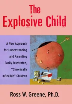 The explosive child