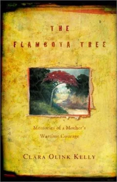 The flamboya tree