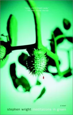 Meditations in green