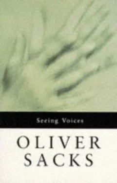 Seeing voices