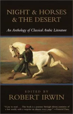 Night & Horses & the Desert