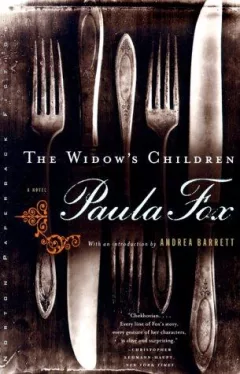 The widow's children