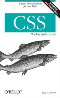 CSS