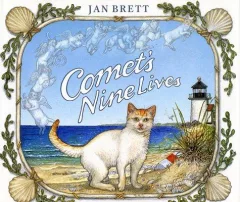 Comet's nine lives