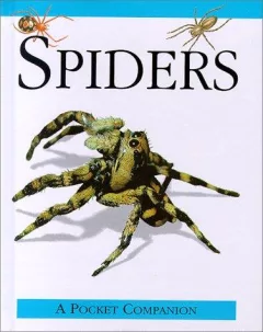 Spiders