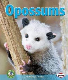 Opossums (Early Bird Nature Books)