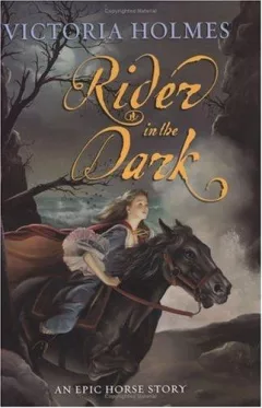 Rider in the dark