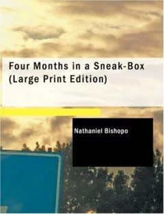 Four Months in a Sneak-Box (Large Print Edition)
