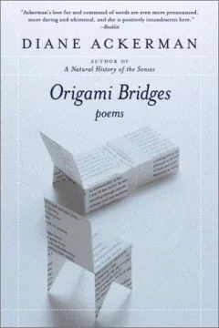 Origami Bridges