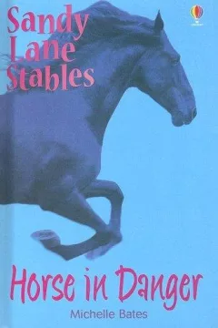 Horse in Danger (Sandy Lane Stables)