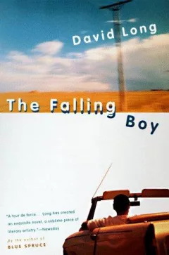 The falling boy
