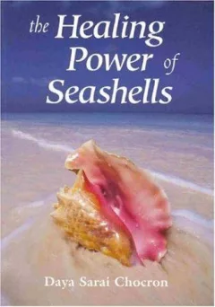 The Healing Power of Seashells