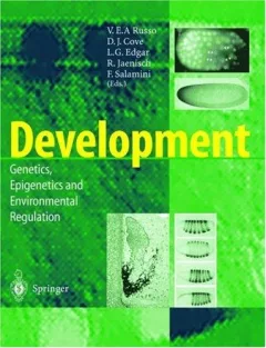 Development
