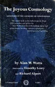 The Joyous Cosmology