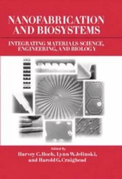 Nanofabrication and biosystems