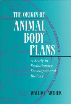 The origin of animal body plans