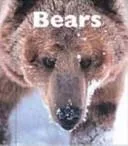 Bears