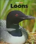 Loons