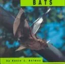 Bats