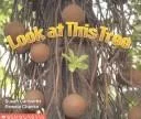 Look at this tree